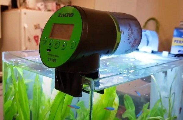 Best Automatic Fish Feeder Reviews Aquarium Or Pond