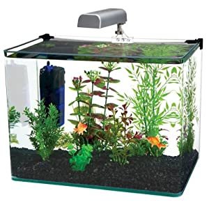 Best Fish Tanks