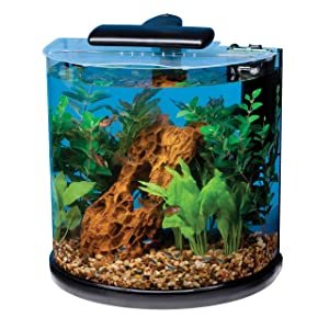 Best Fish Tanks