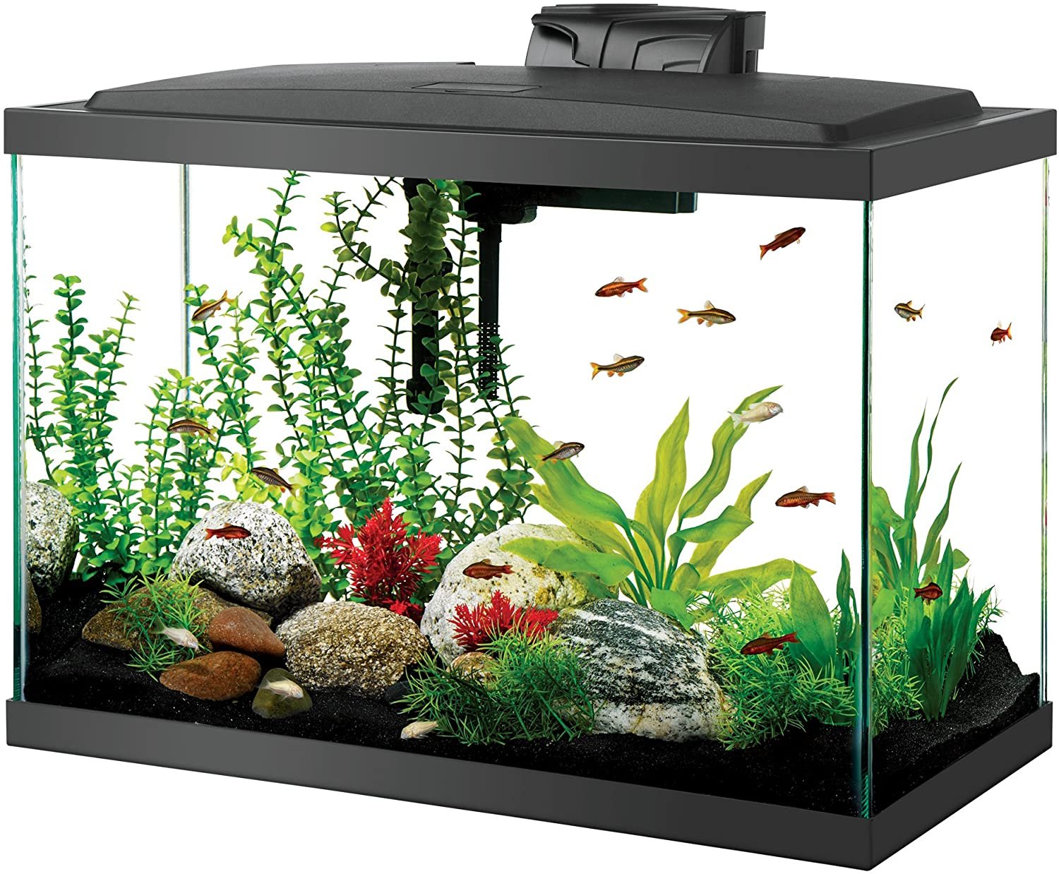 Top 15 Best Fish Tanks in 2020 (Reviews & Buying Guide)