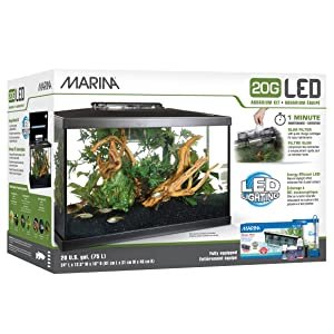 Best 20 Gallon Fish Tank Kit