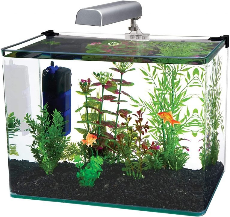 [Latest] The Best 10 Gallon Fish Tanks of 2020