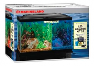 Best 20 Gallon Fish Tank Kit