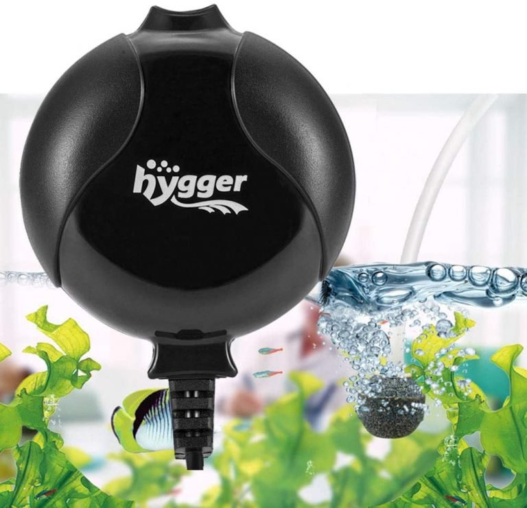 Top 10 Best Quiet Aquarium Air Pumps (Reviews & Guide)