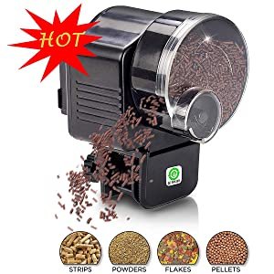 top fin automatic feeder