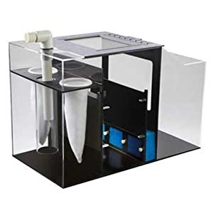  Best Reef Sumps