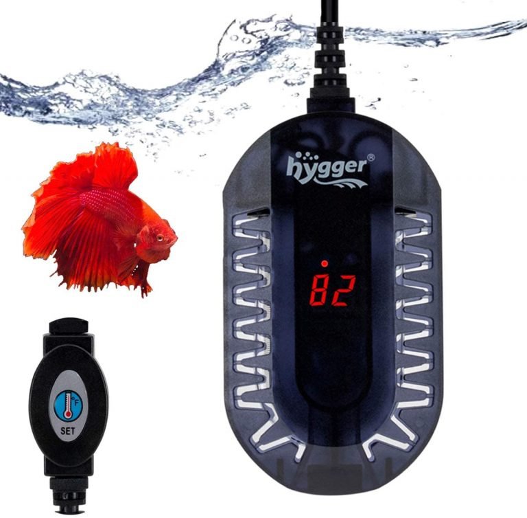 Top [2022] 10 Best Betta Tank Heater For Your Fish Stay Healthy & Safety