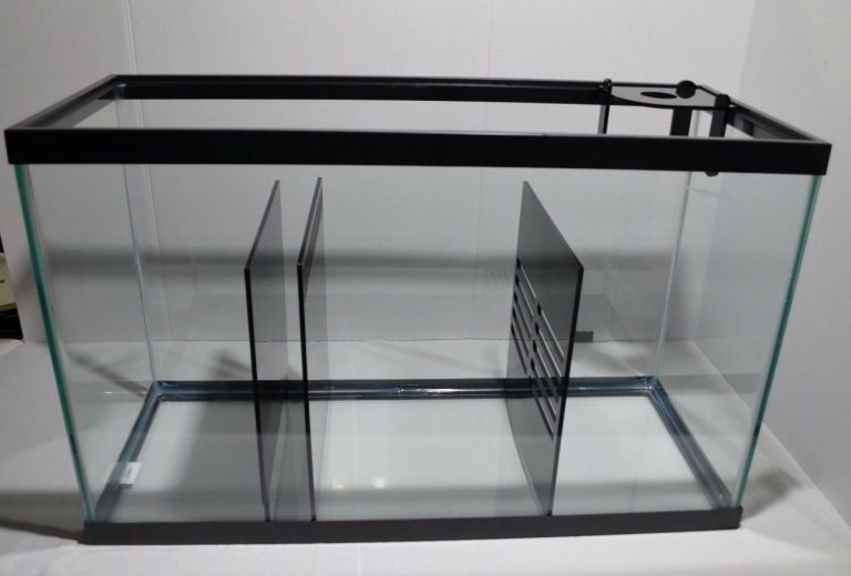 Top 10 Best Reef Sumps For Saltwater Aquarium Reviewed [2022]