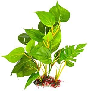 Best Artificial Aquarium Plants