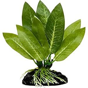 Best silk aquarium plants