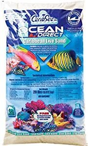 Best Sand For Reef Tank