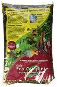 best substrate for betta fish