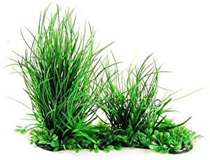 Best silk aquarium plants