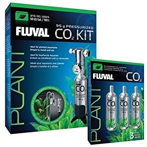 Best CO2 System For Planted Aquarium