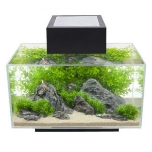 best aquarium starter kit