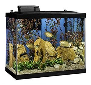 best aquarium starter kit