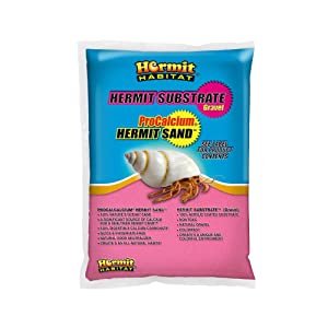 Best Substrate For Hermit Crabs