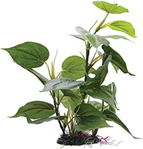 Fluval Anubias artificial plant