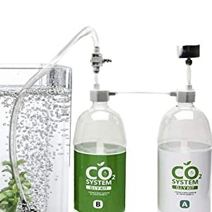 Best CO2 System For Planted Aquarium