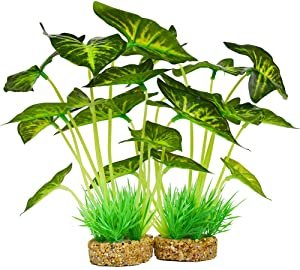 Best silk aquarium plants