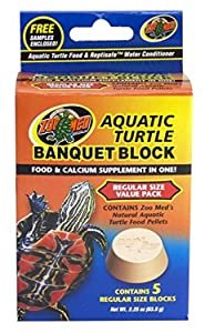 best turtle food