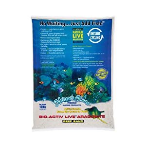 Best Sand For Reef Tank