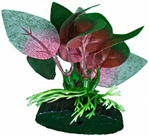 Best silk aquarium plants