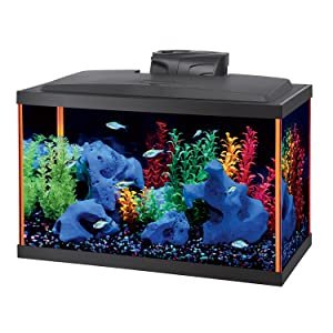 best aquarium starter kit