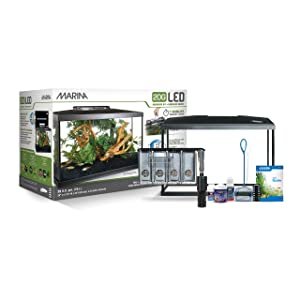 best aquarium starter kit