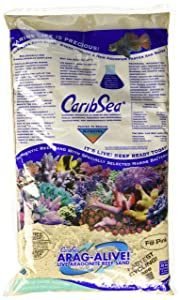 Best Sand For Reef Tank
