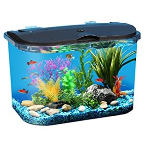 best aquarium starter kit