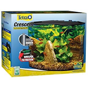 best aquarium starter kit