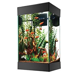 best aquarium starter kit