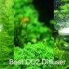 Best co2 Diffuser