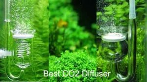 Best co2 Diffuser