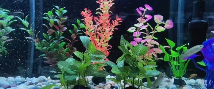 artificial plants for an aquarium