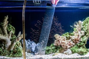 Best Aquarium Vacuum Cleaner Reviews 2022