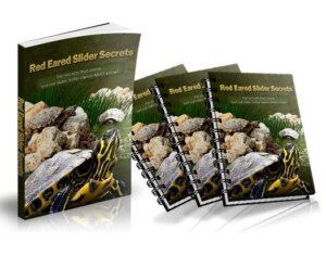 Red Eared Slider Secrets